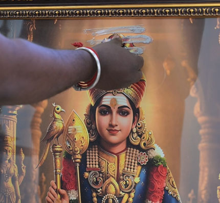 Iconic City Dream Homes